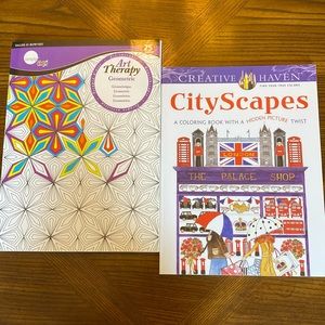 Adult Coloring books Lot Cityscape has Hidden Pics